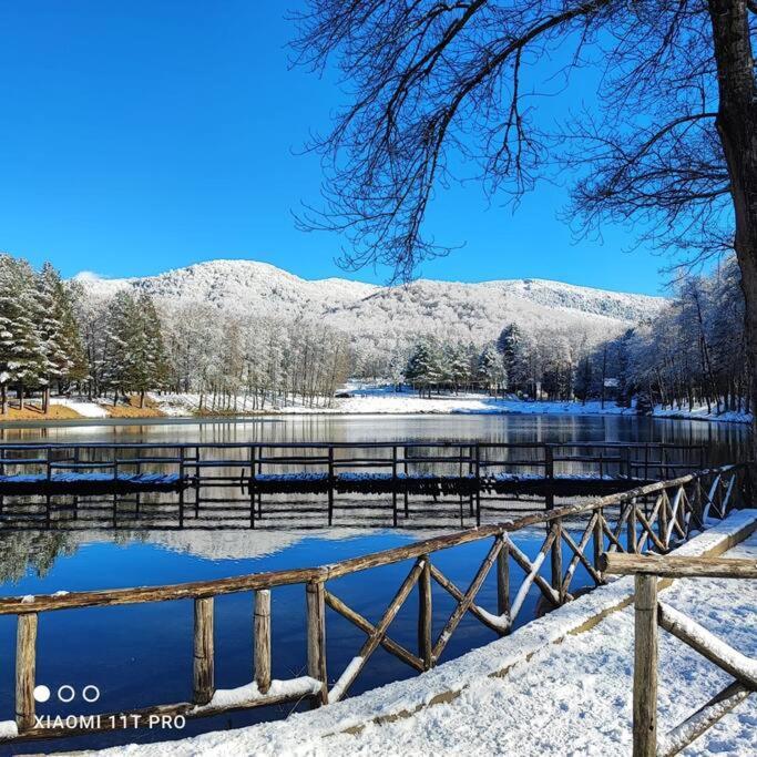 B&B Ammari. Appartamento - Bilocale. Gallico Exteriér fotografie